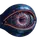 Stealth Analytics