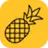 Logo of Pineapple Builder
