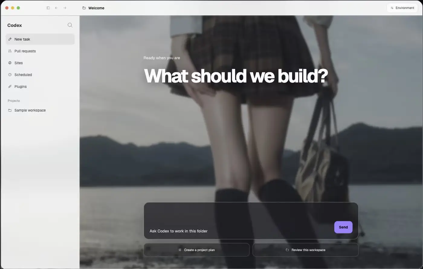CodexSkin Store product image