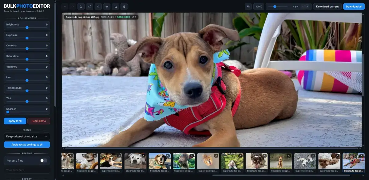 BulkPhotoEditor image number 21