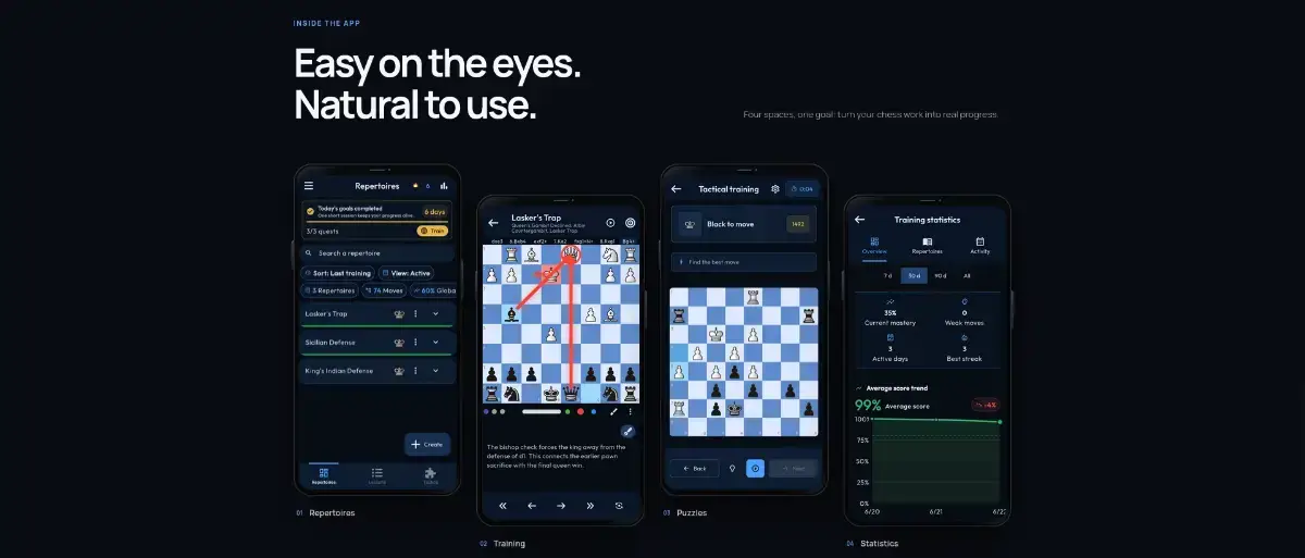 ChessFlow image number 21