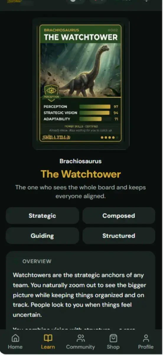 SkillZilla image number 11