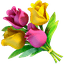 Flowershow